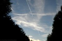 Aus einer Waldschneise sichtbare Kondensstreifen und Fliegerzirren