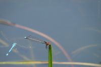 Die Ufer-Sitzpl&auml;tze sind oft hei&szlig; umk&auml;mpft.