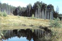 Teich über dem Pionierdenkmal, Ansicht 1986